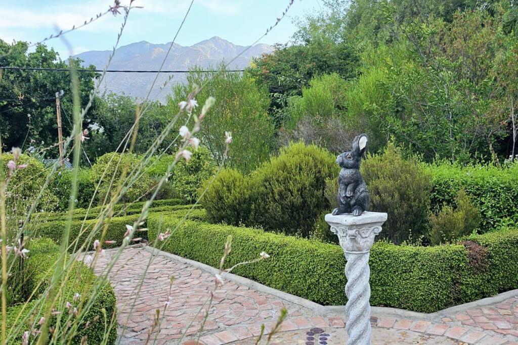 Grey Rabbit Cottage Montagu Exteriér fotografie