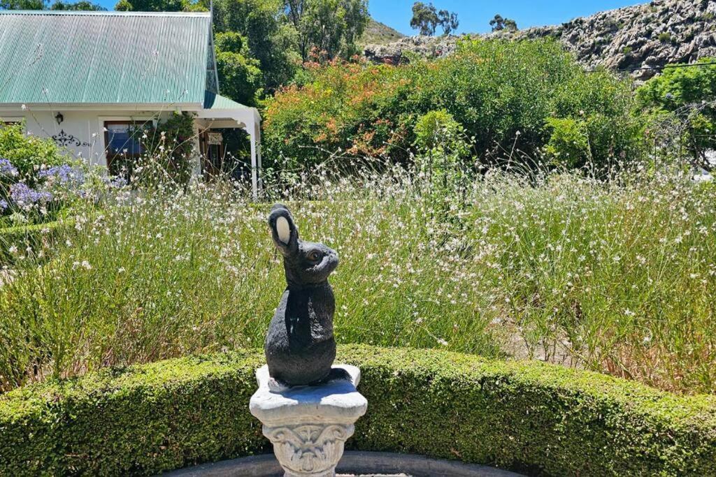Grey Rabbit Cottage Montagu Exteriér fotografie